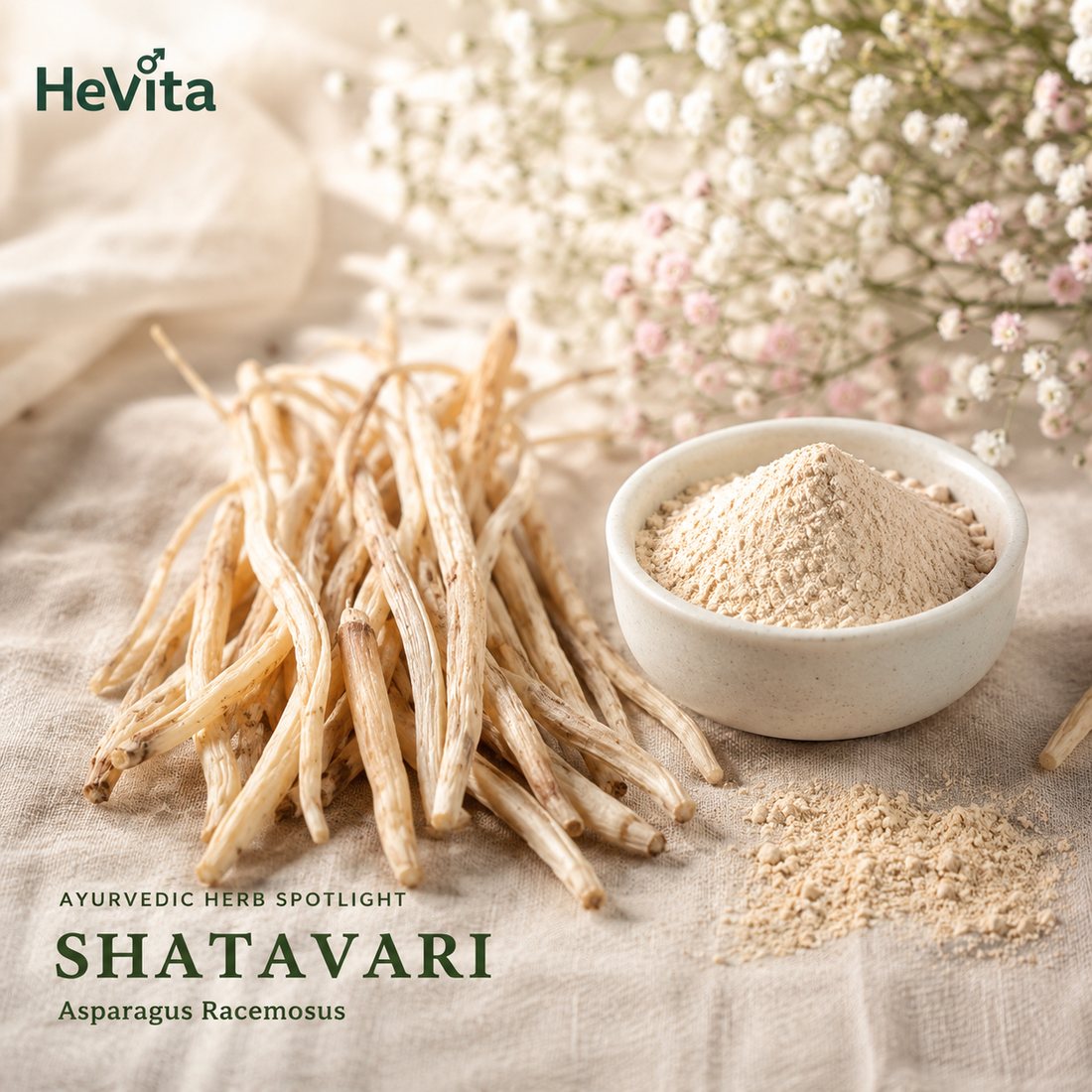 Shatavari — The Ayurvedic Herb Every Woman Should Know About