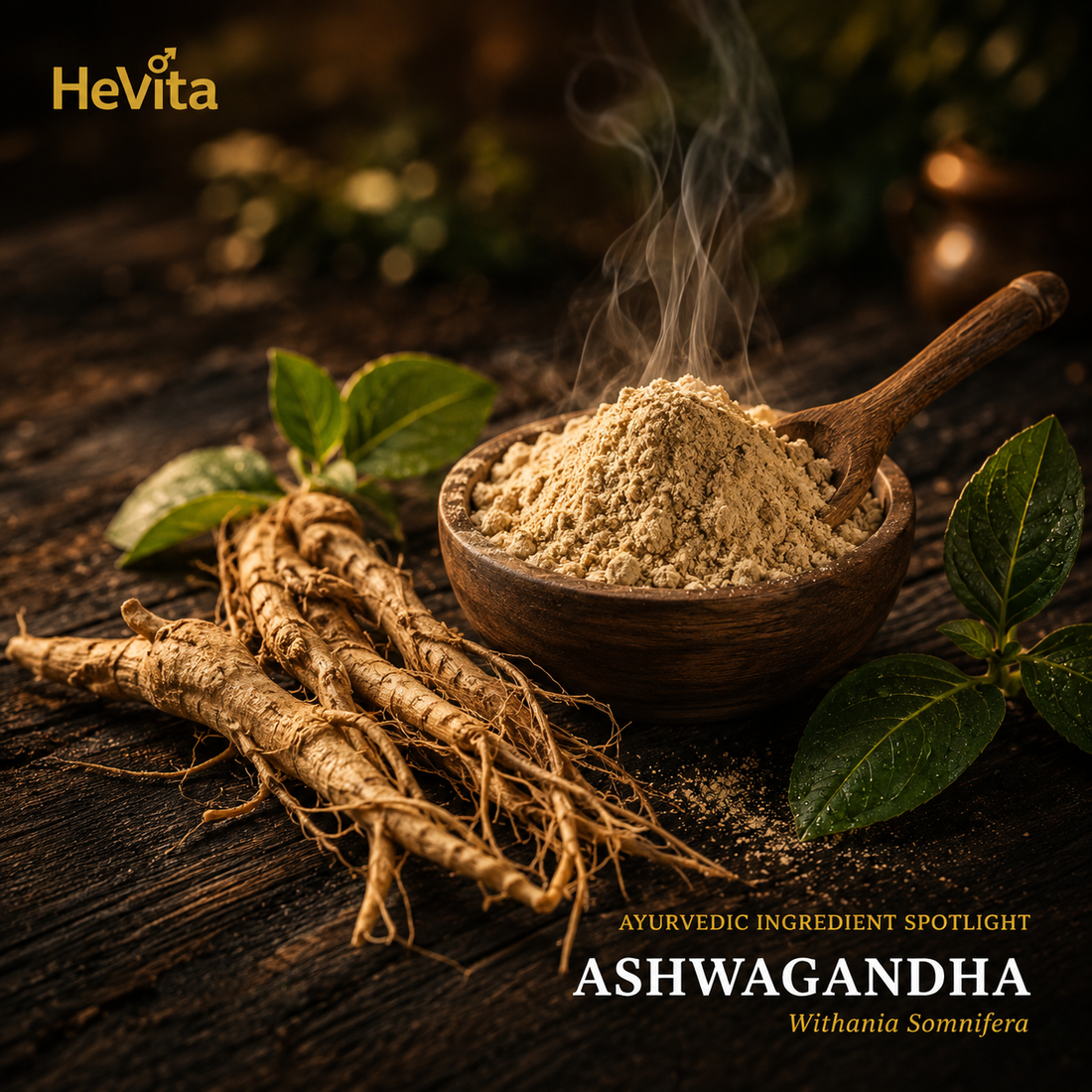 Ashwagandha Benefits: Why This Ayurvedic Herb Is a Game-Changer for Health